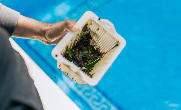 Best Commercial Cleanout Services  in Kitsap Lake, WA